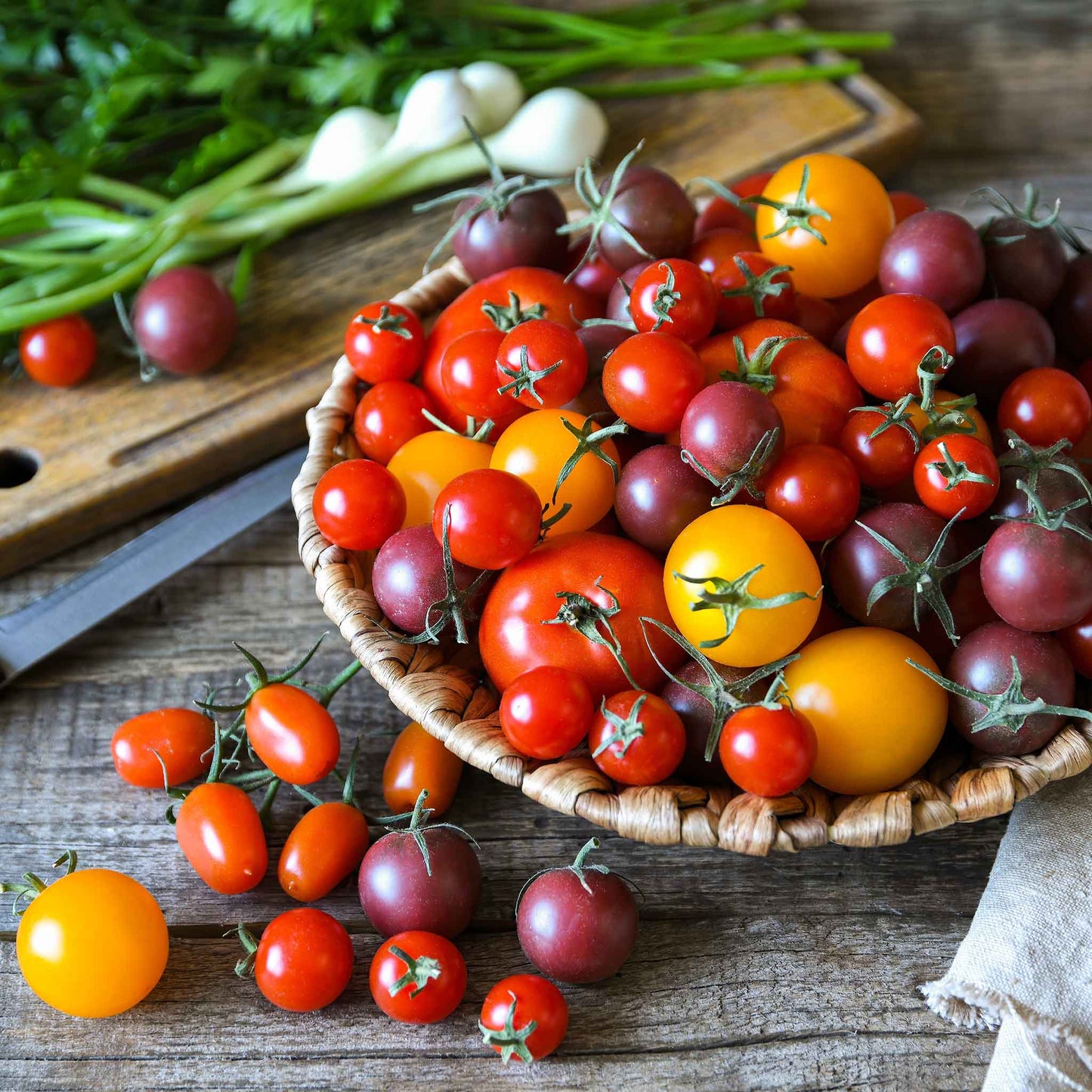 A Rainbow Cherry Mixture assortment of tomatoes in a bowl with some spilled over.