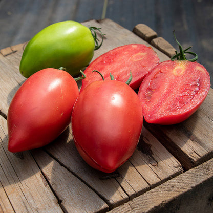 A red, oval-shaped Rugby F1 tomato with a smooth skin, shown against a wooden background.