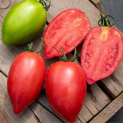 Rugby tomato with a green tomato in back and a few slices behind it.