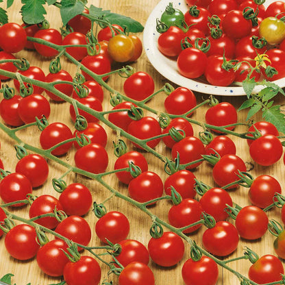 Rows of Supersweet 100 tomatoes on a vine, and a wooden background.