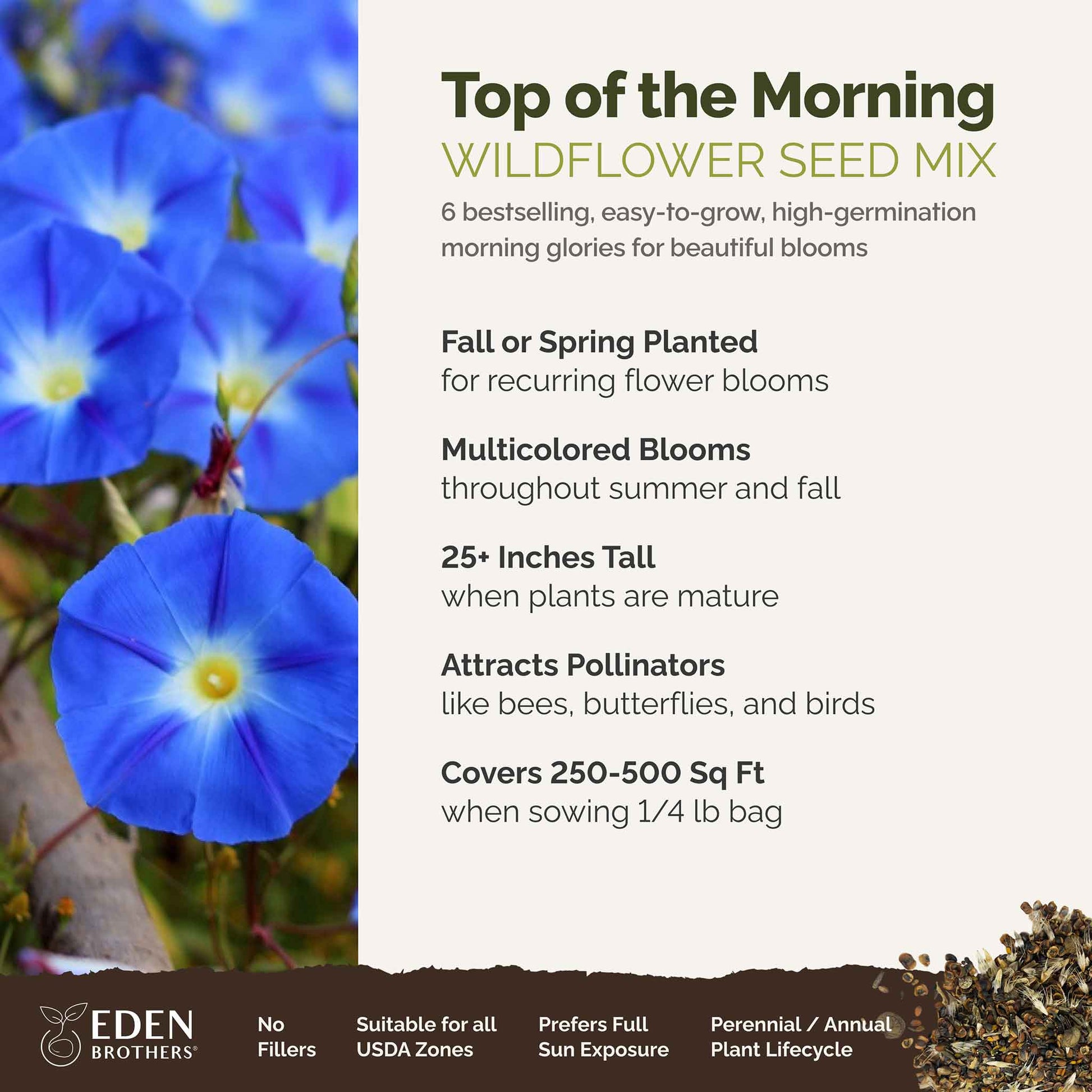 A visual overview of the wildflower seed mix, showcasing expected floral blooms.