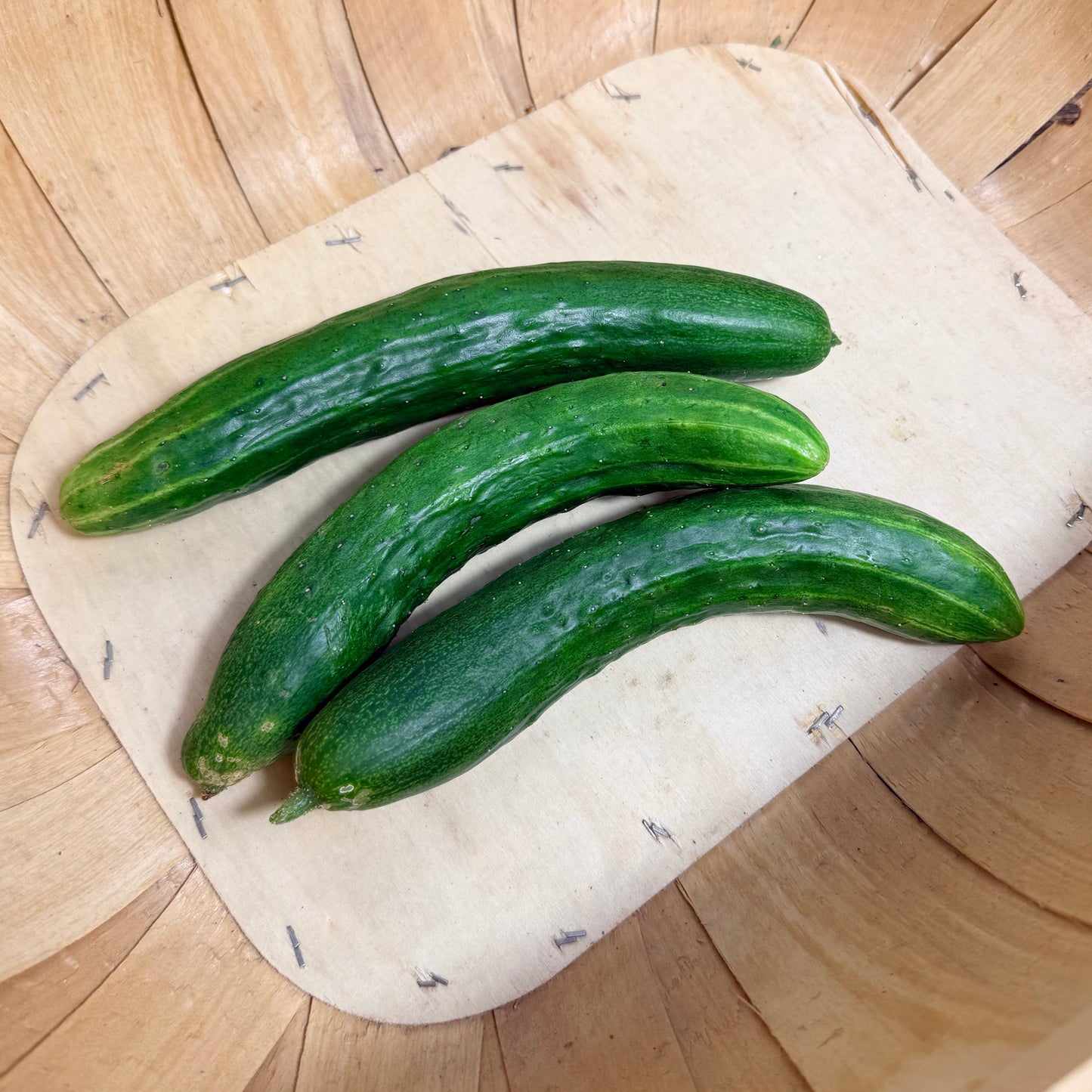 Tokiwa Cucumber