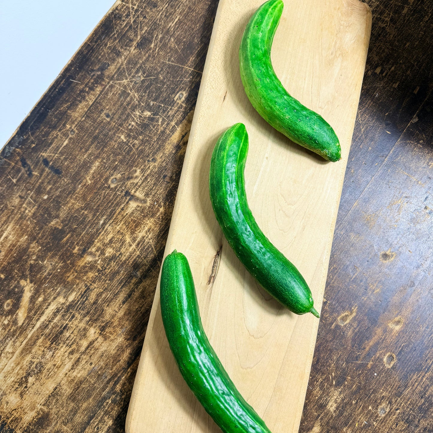 Tokiwa Cucumber
