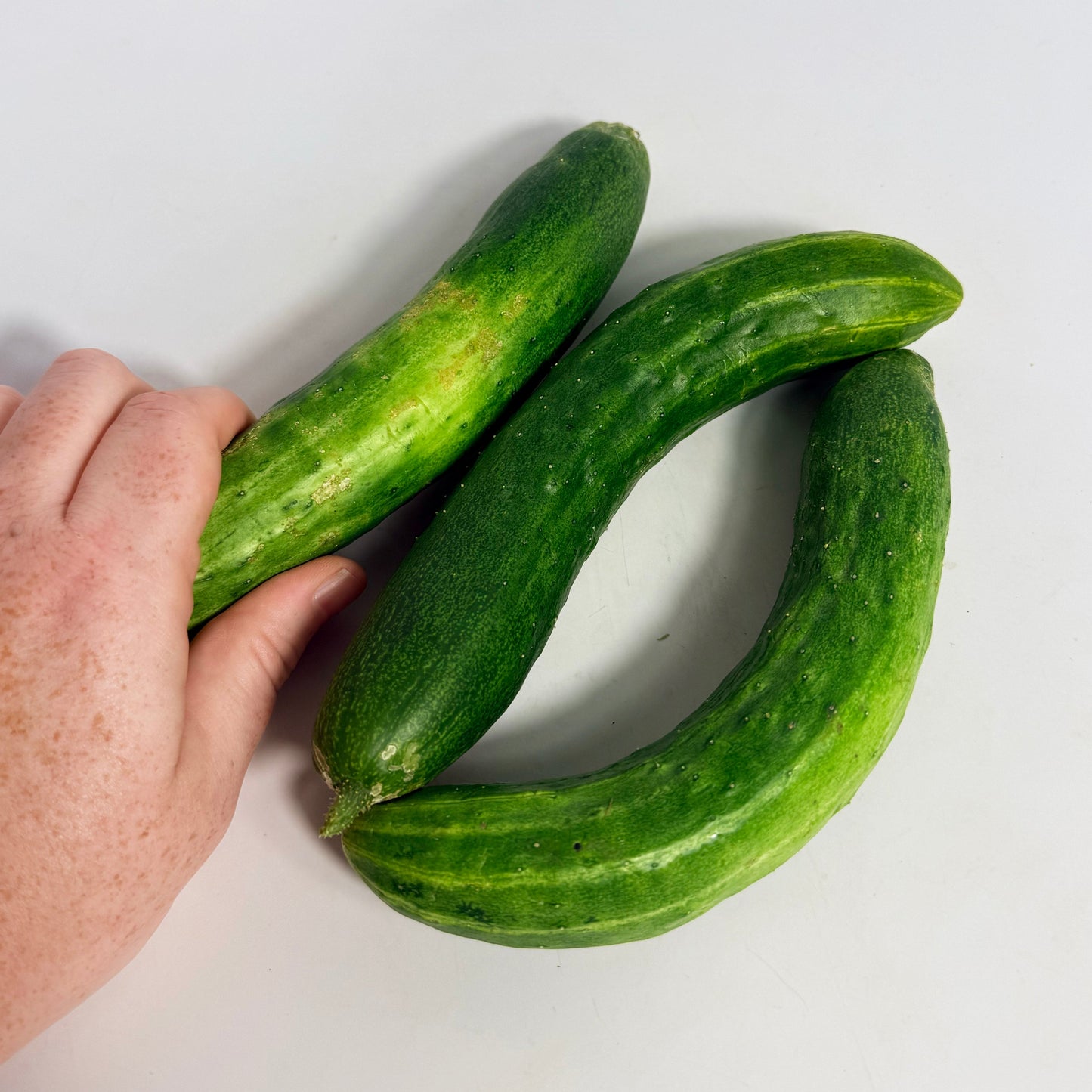 Tokiwa Cucumber