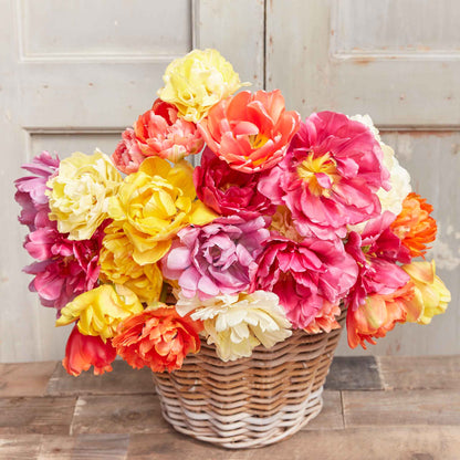 45 Days Peony-Flowered tulips in mixed colors with ruffled petals on a soft background