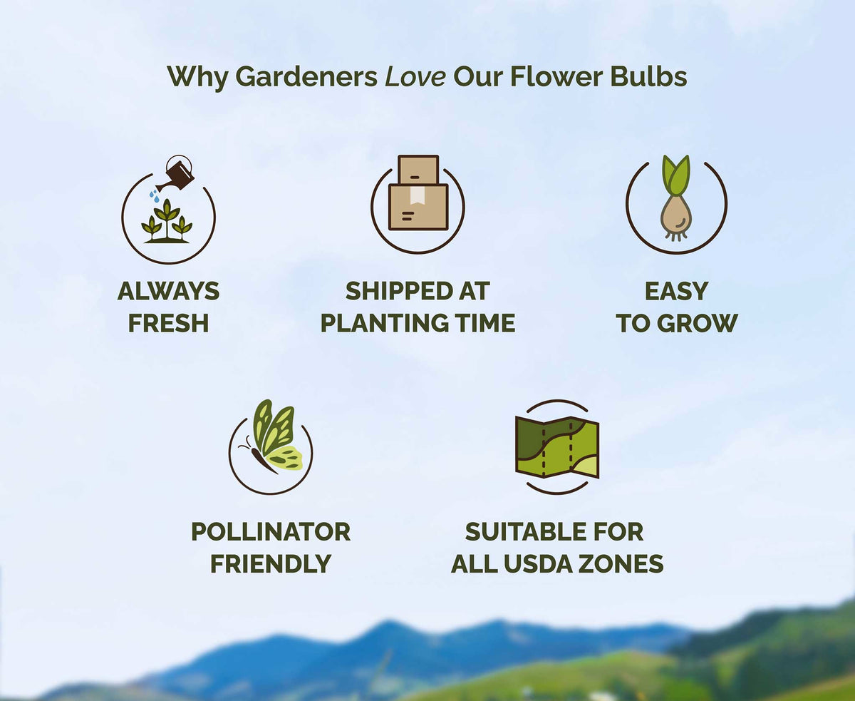 List of reasons why gardeners love flower bulbs with icons and text on a scenic background.