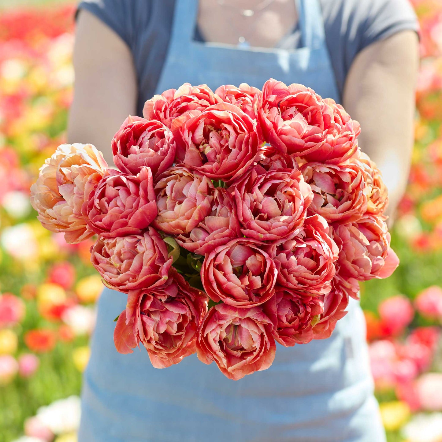 Person holding a bouquet of pink copper image tulip flowers with a blurred floral background