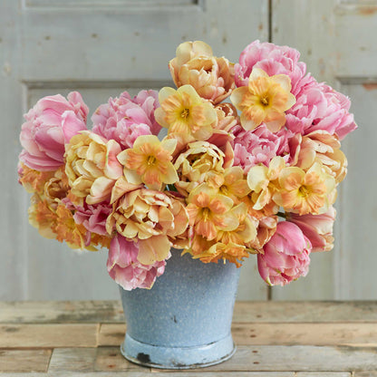 A close-up of a mix of colorful tulips and daffodils in full bloom.