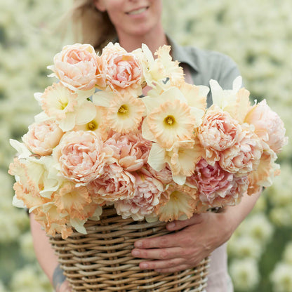A vibrant mix of tulips and daffodils, creating a colorful and lively display.