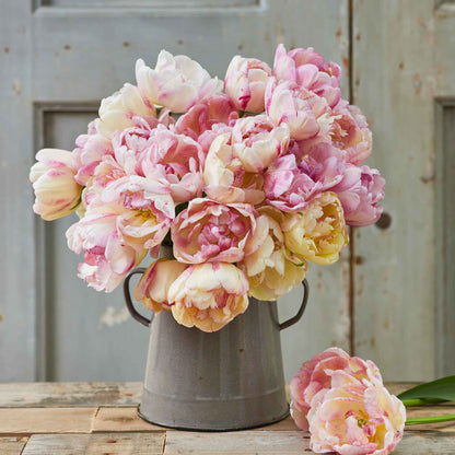 Double Shake tulip in ruffled pink with yellow and green hints on a blurred background