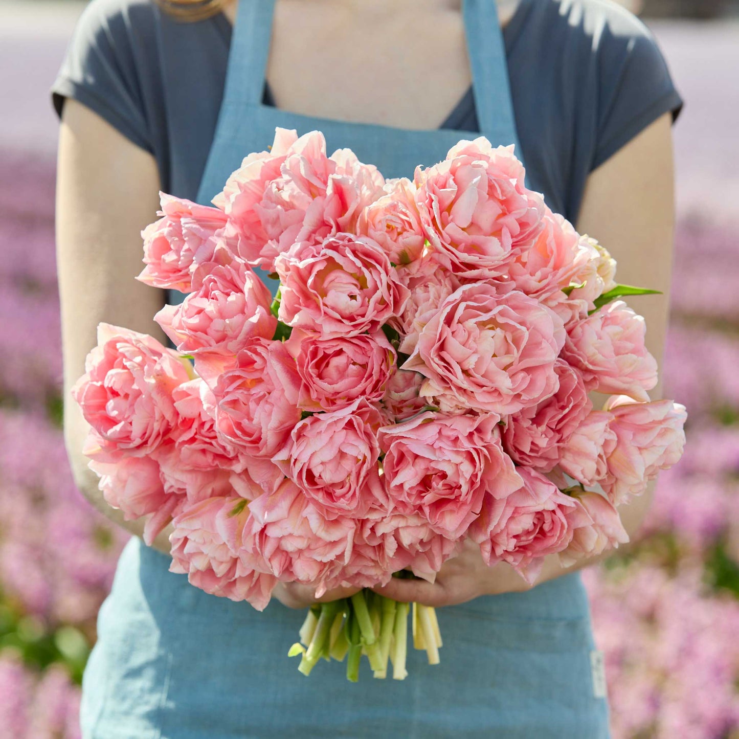 Person holding a bouquet of pink dreamer tulip flowers against a blurred natural background