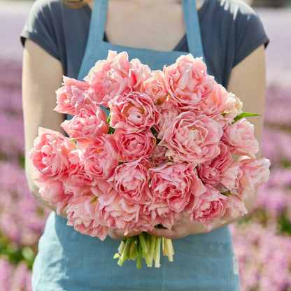 Person holding a bouquet of pink dreamer tulip flowers against a blurred natural background