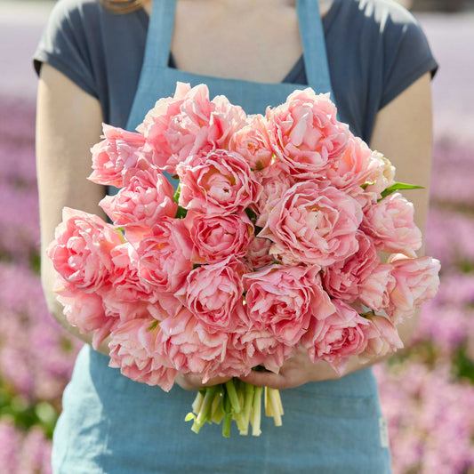 Hand-held Tulip Dreamer bouquet showing pink coloring and flower form, clustered blooms, and cut stems outdoors.