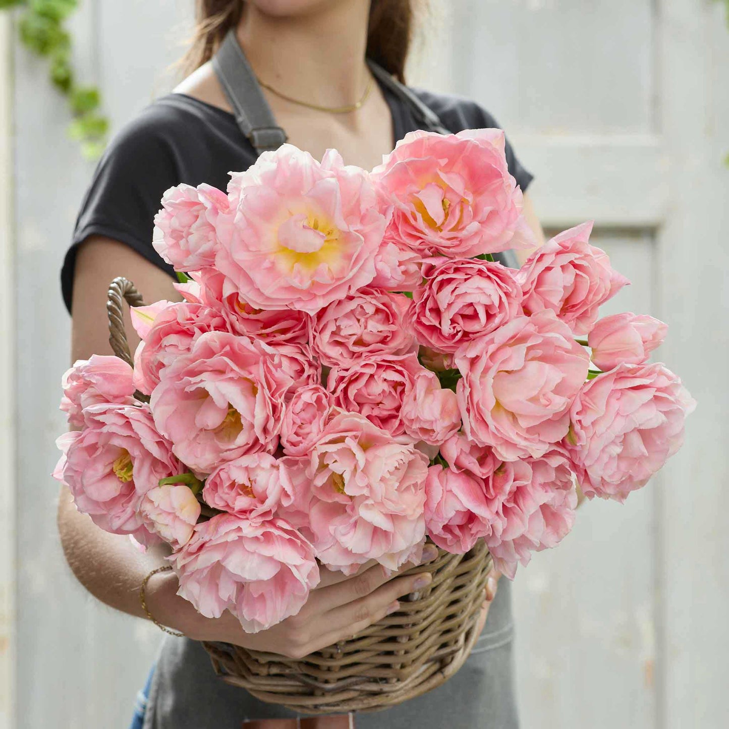 Person holding a bouquet of pink dreamer tulip flowers against a blurred natural background