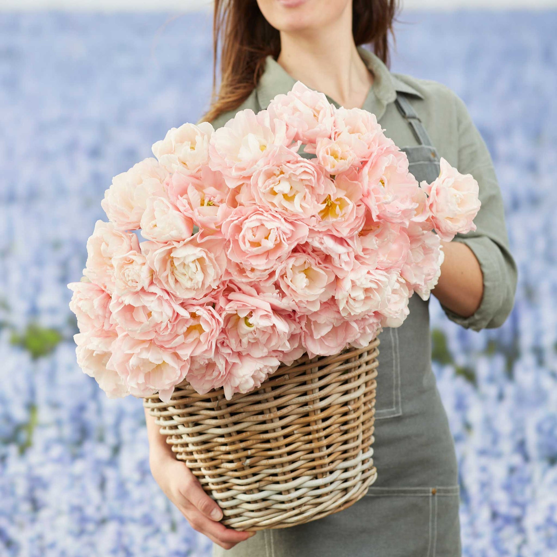 Person holding a bouquet basket of pink dreamer tulip flowers against a blurred natural background