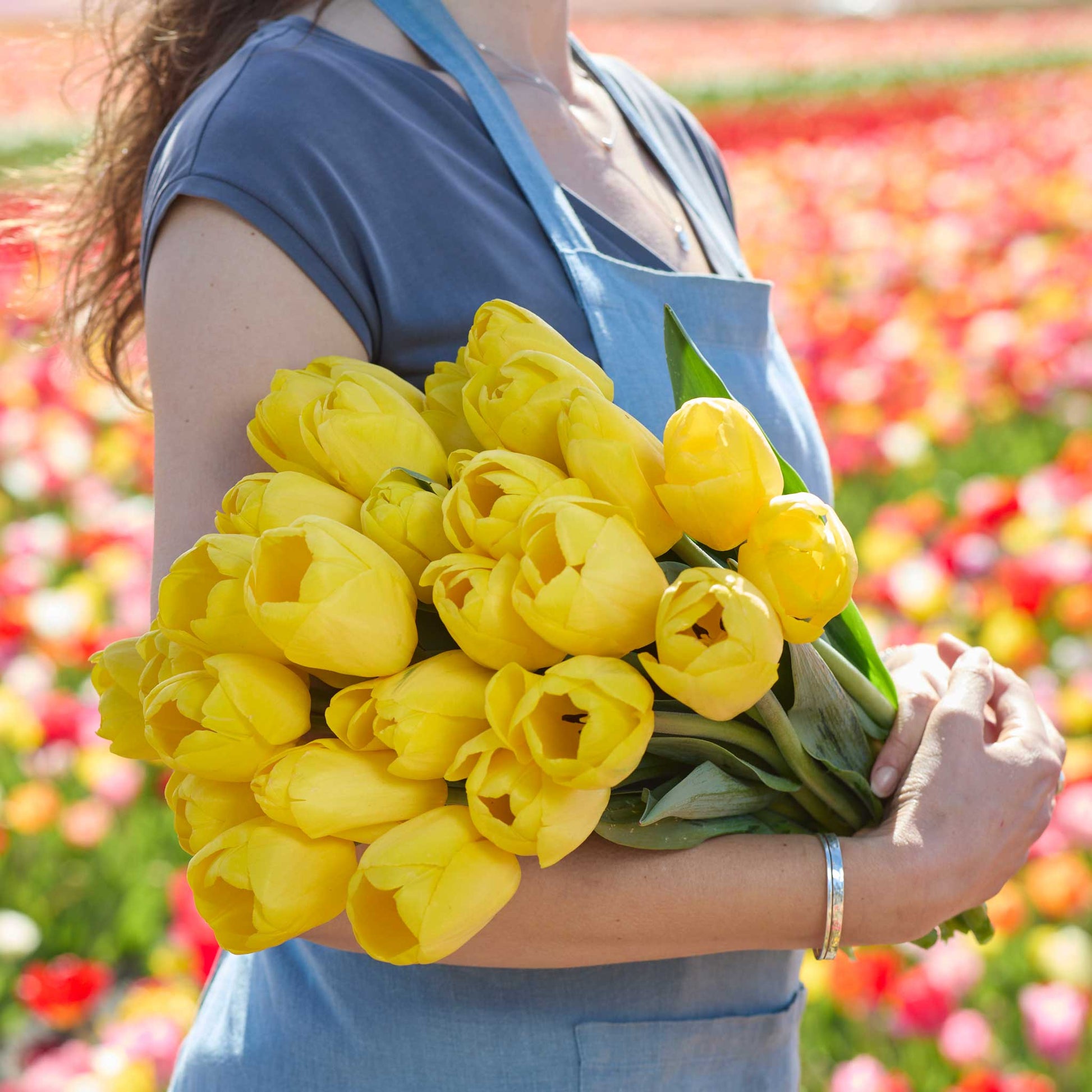 Person holding a bouquet of yellow golden parade tulip flowers against a blurred natural background
