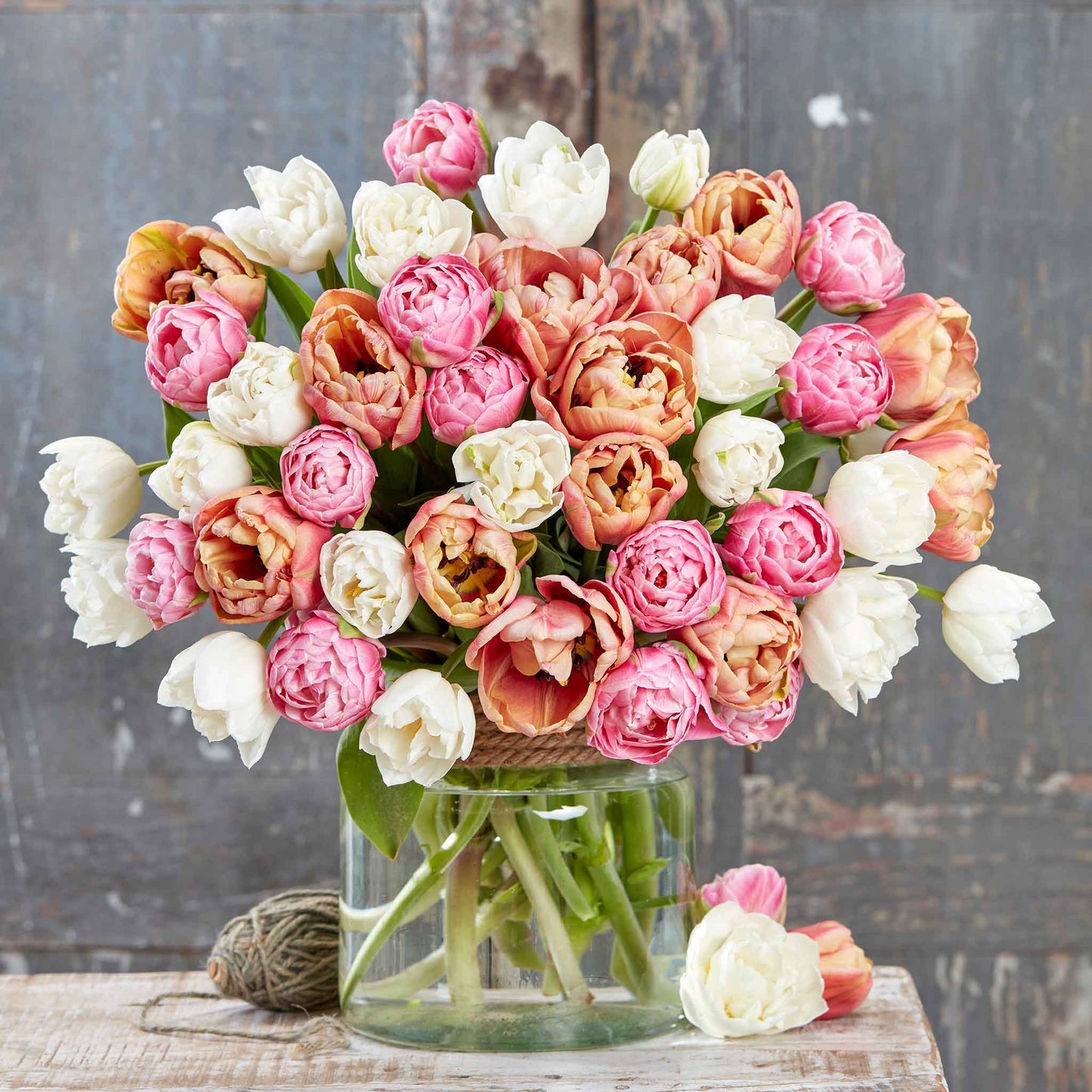 La Belle Epoque Bright Mix tulips in red and white on a soft blurred background