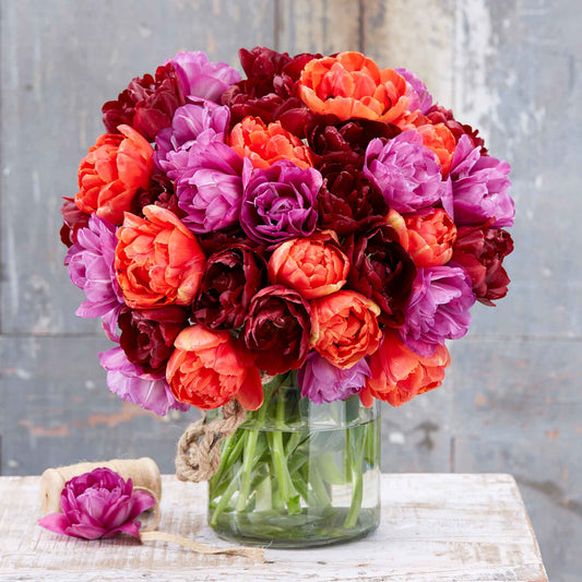 Passion Mix tulips in red, pink and orange tones on a blurred background