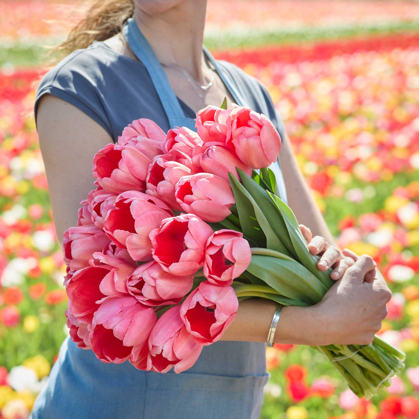 Person holding a bouquet of pink impression tulips with a blurred floral background