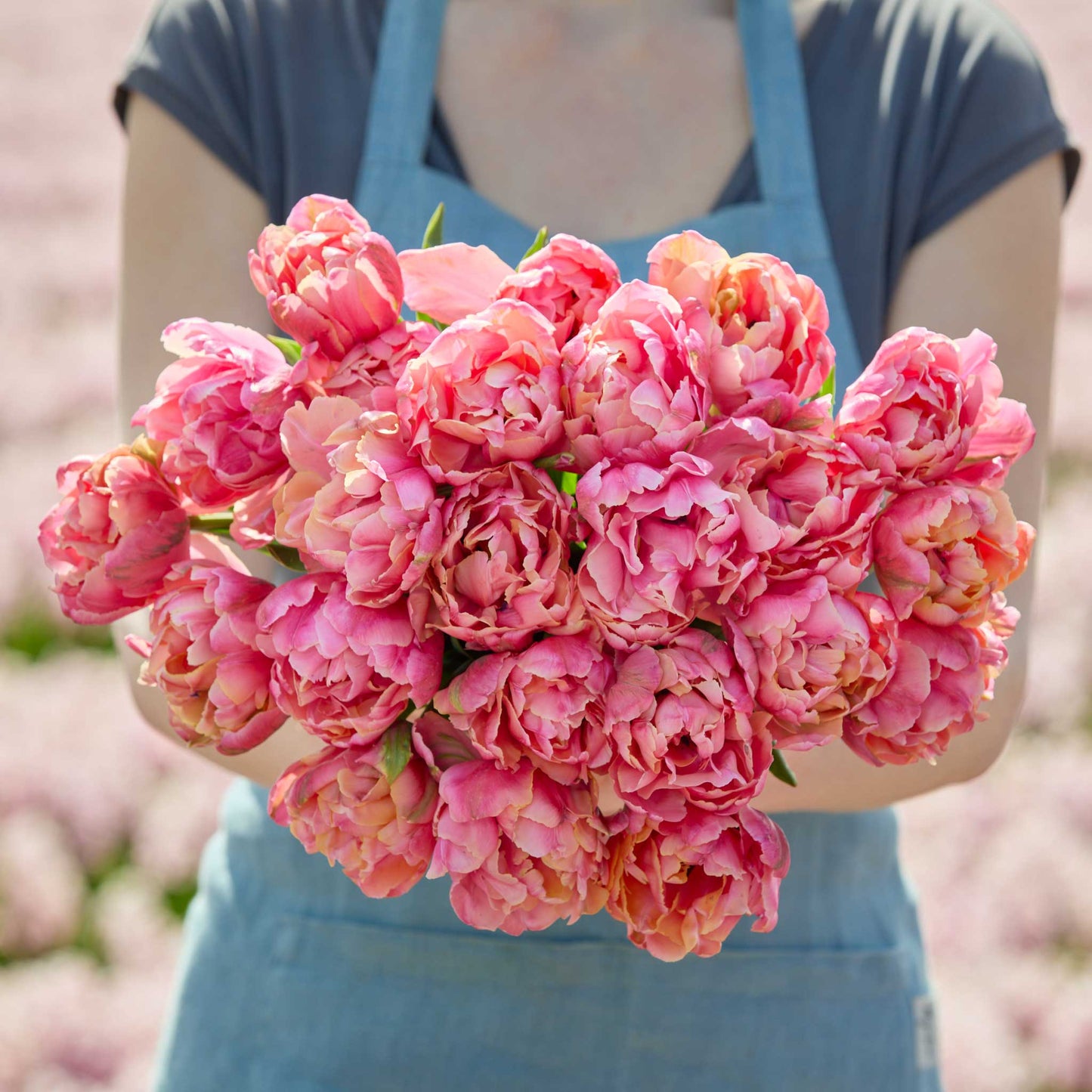 Person holding a bouquet of orange lorenzo tulips with a blurred floral background