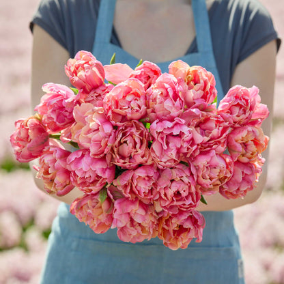 Person holding a bouquet of orange lorenzo tulips with a blurred floral background