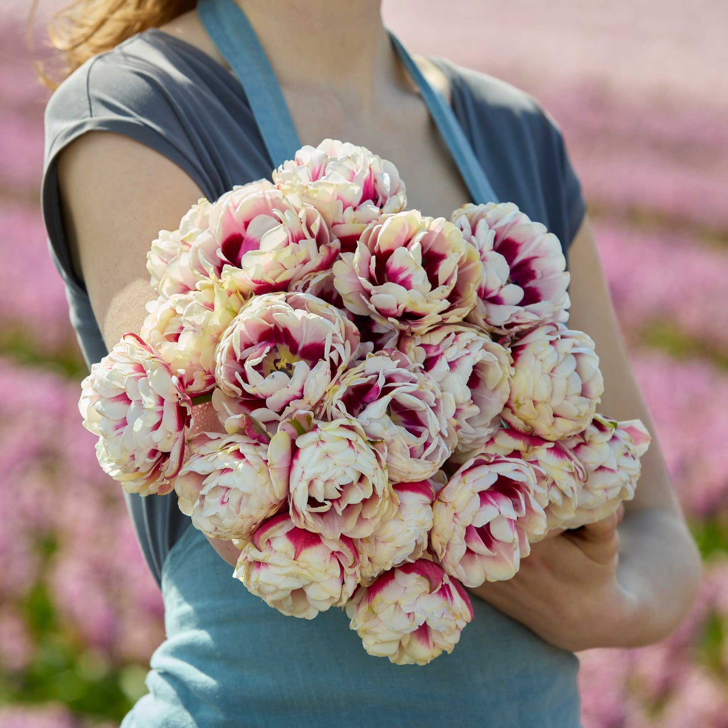 Person holding a bouquet of pink and white pistache tulip flowers with a blurred floral background