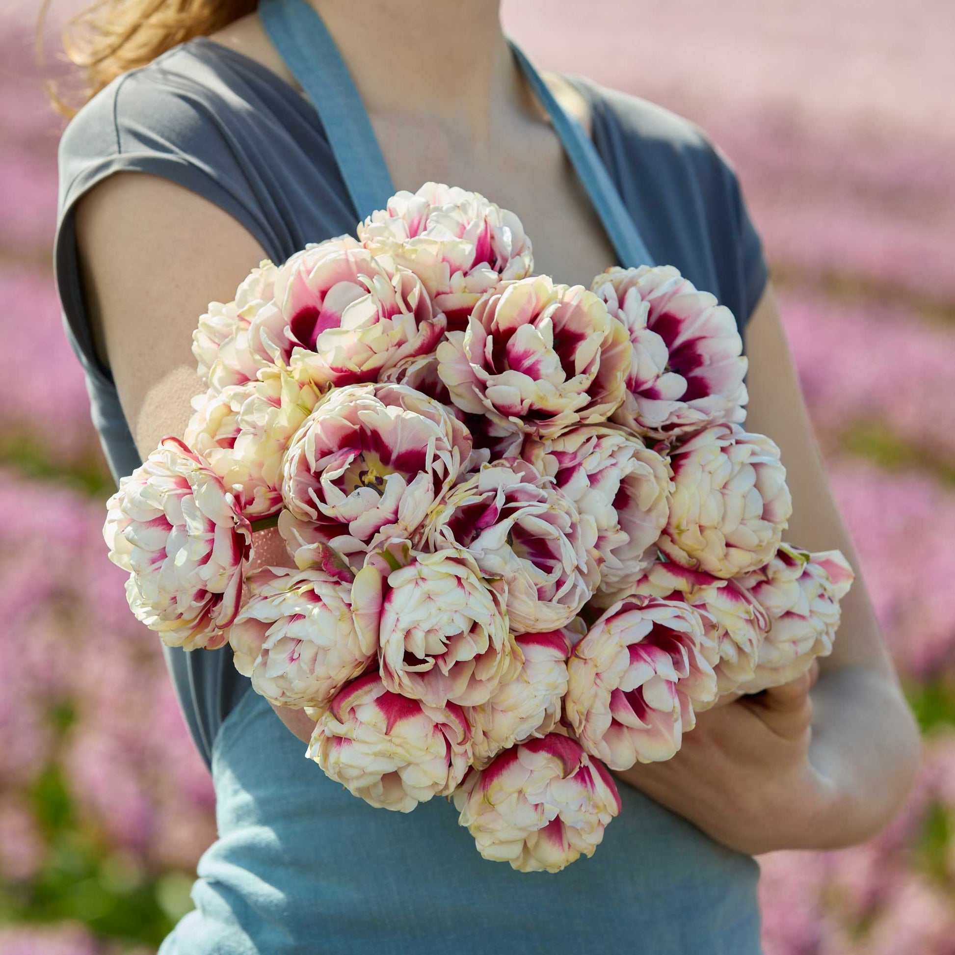 Person holding a bouquet of pink and white pistache tulip flowers with a blurred floral background