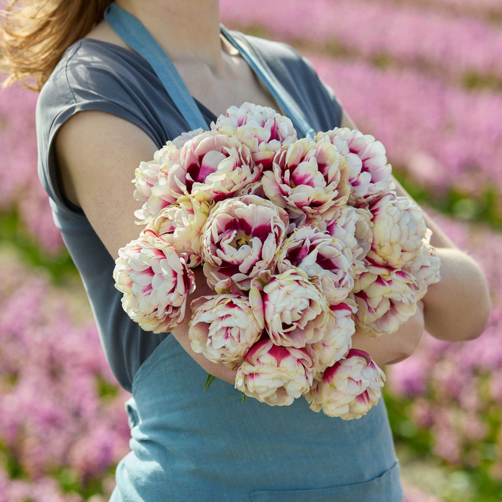 Person holding a bouquet of pink and white pistache tulip flowers with a blurred floral background