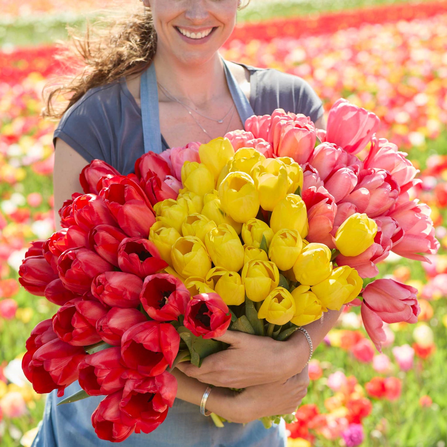 Person holding a bouquet of red impression tulip flowers with yellow and pink tulips