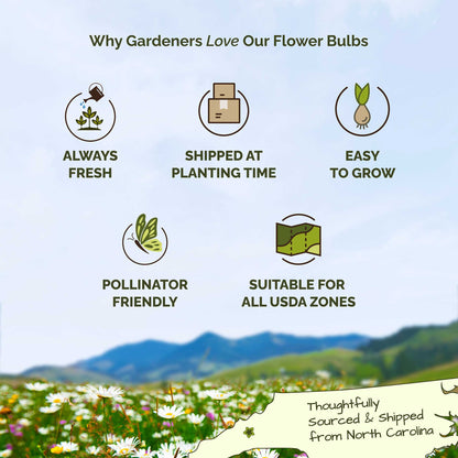 List of reasons why gardeners love flower bulbs with icons and text on a scenic background.