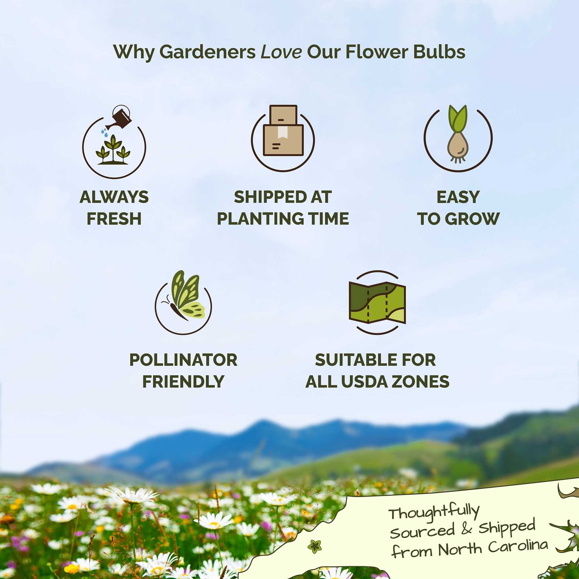 List of reasons why gardeners love flower bulbs with icons and text on a scenic background.