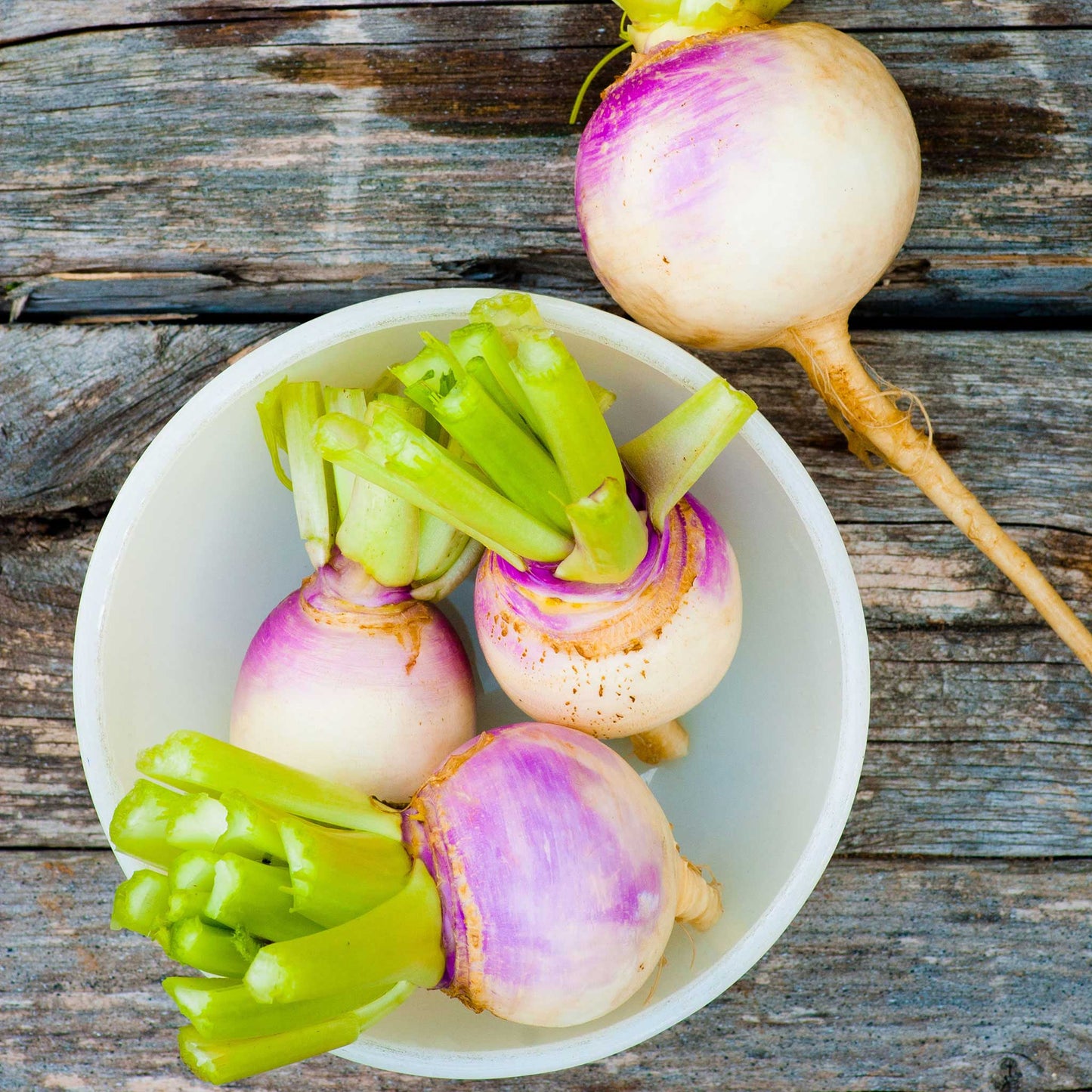 A purple top white globe turnip with a vibrant purple top and a clean white bottom, shown against a wooden background.