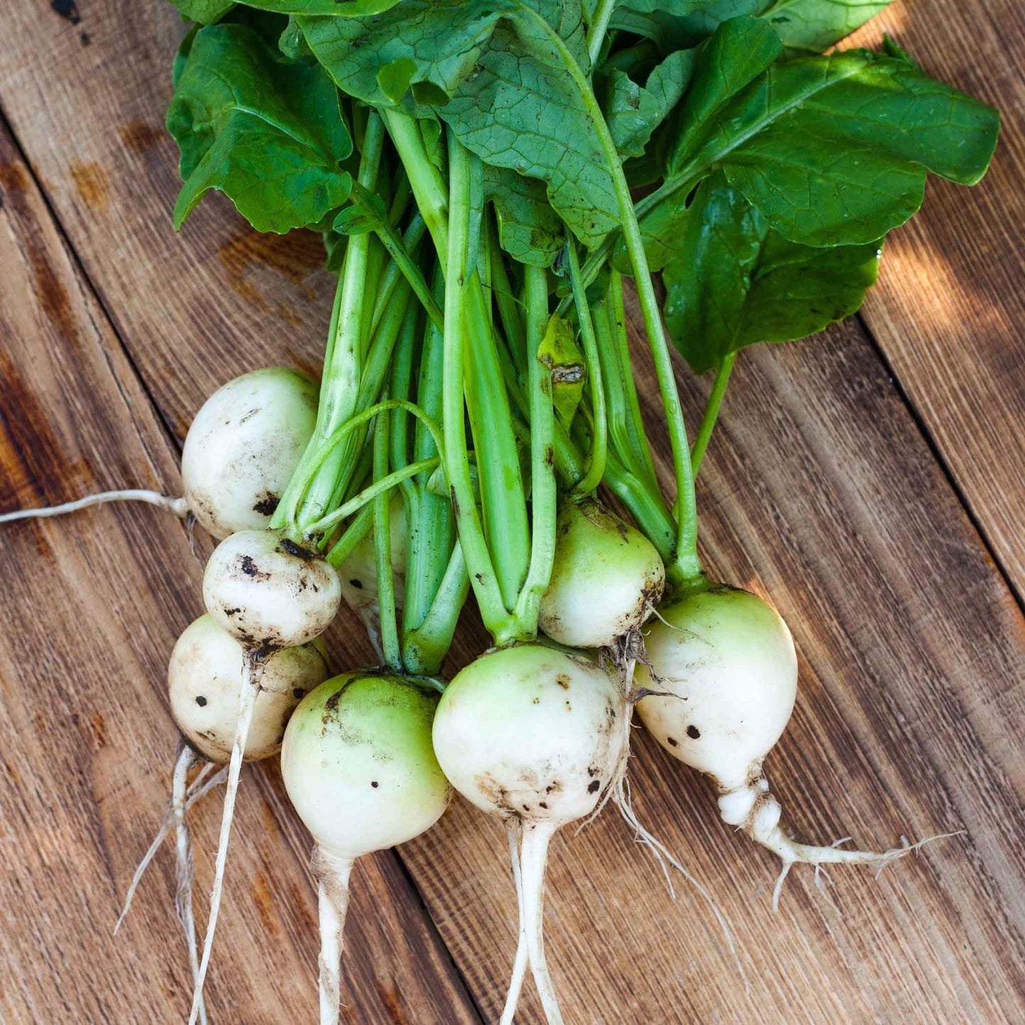 White Egg turnip with green leaves on a wooden background.