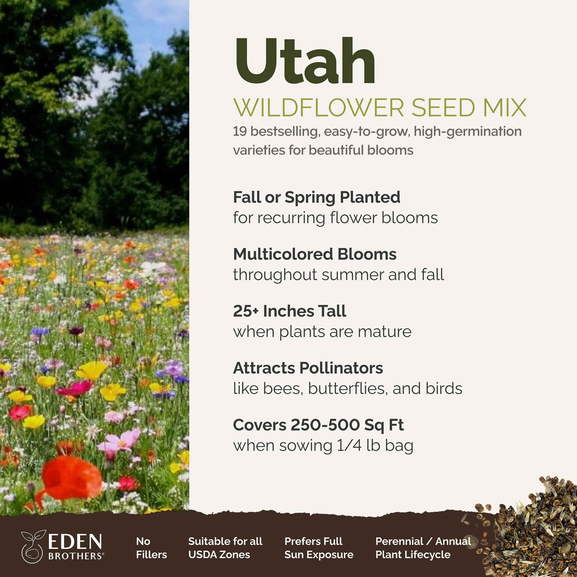 A visual overview of the wildflower seed mix, showcasing expected floral blooms.