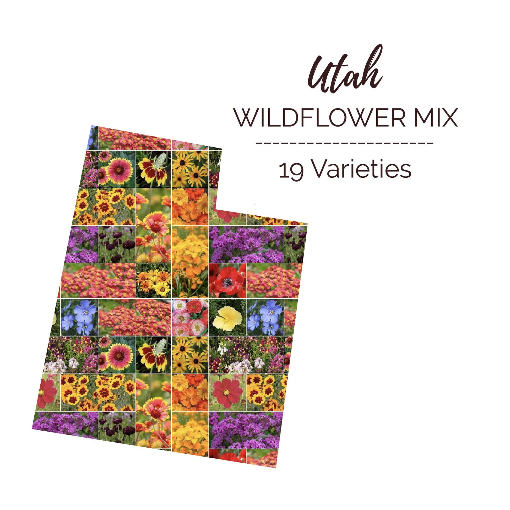 Graphic of the outline of the state for Utah Wildflower Seed Mix that contains images of the flowers in the mix
