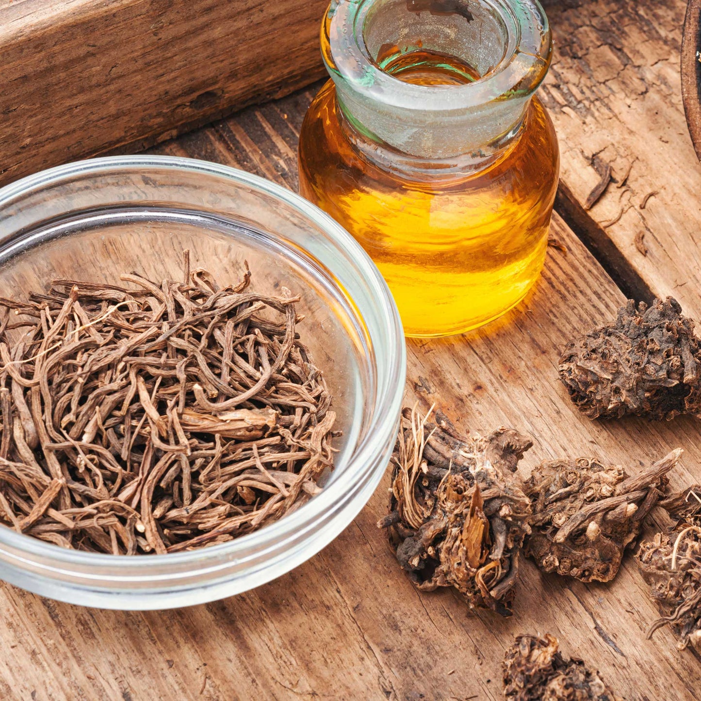 Dried Valerian herb and oil in small glass jars on a neutral background.