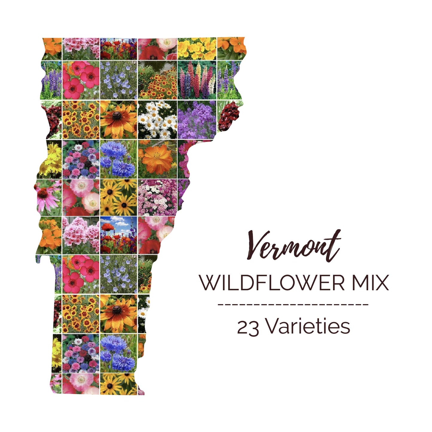 Graphic of the outline of the state for Vermont Wildflower Seed Mix that contains images of the flowers in the mix