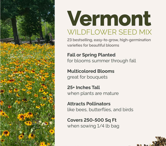A visual overview of the wildflower seed mix, showcasing expected floral blooms.