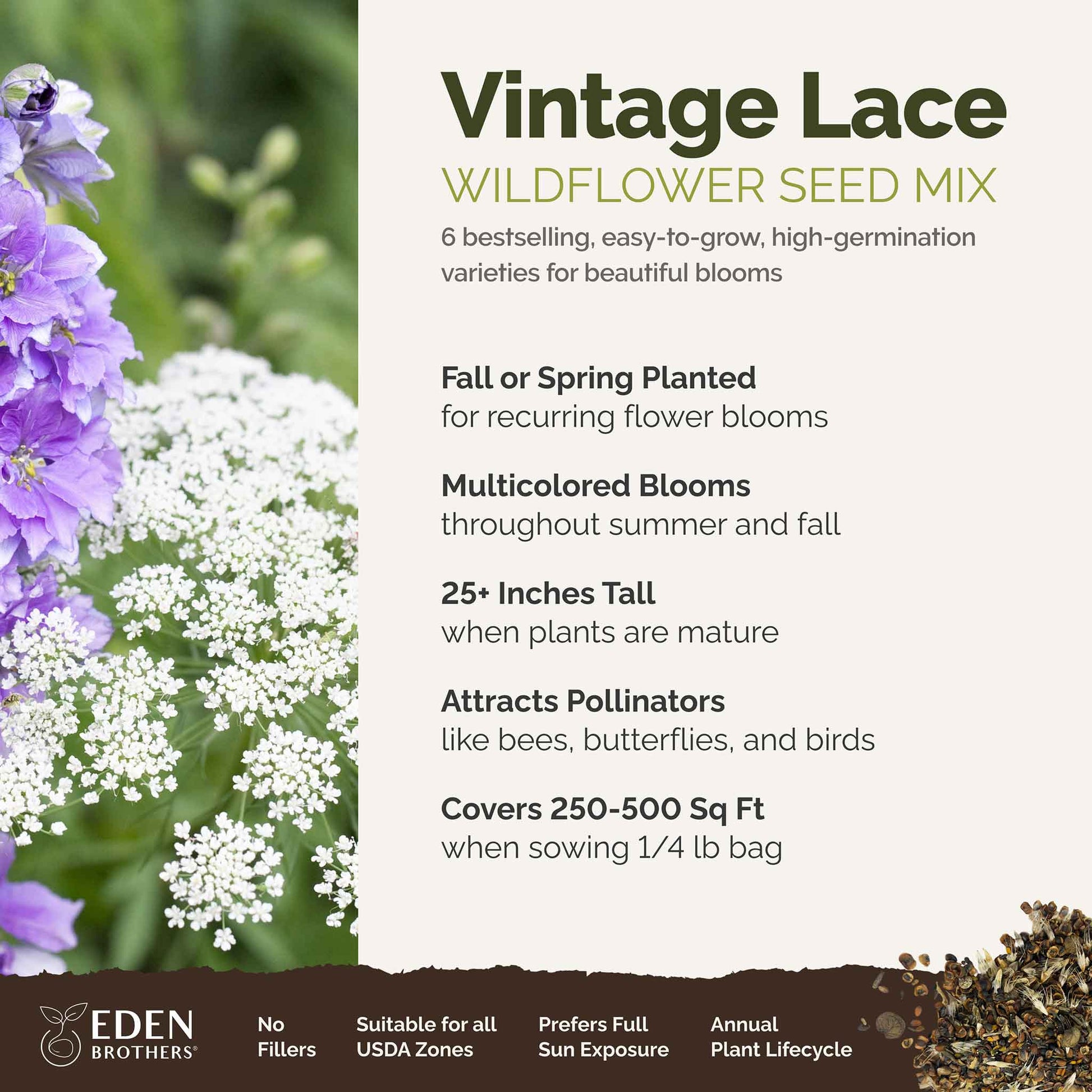 A visual overview of the wildflower seed mix, showcasing expected floral blooms.