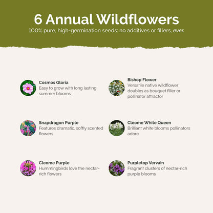 List of flower species and seeds included in the Wildflower Seed Mix.