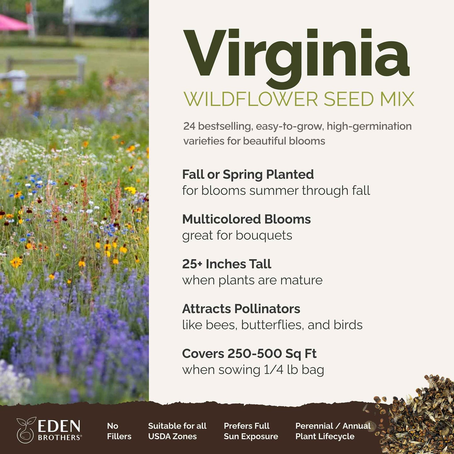 A visual overview of the wildflower seed mix, showcasing expected floral blooms.
