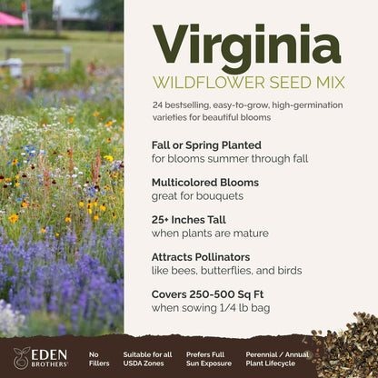A visual overview of the wildflower seed mix, showcasing expected floral blooms.