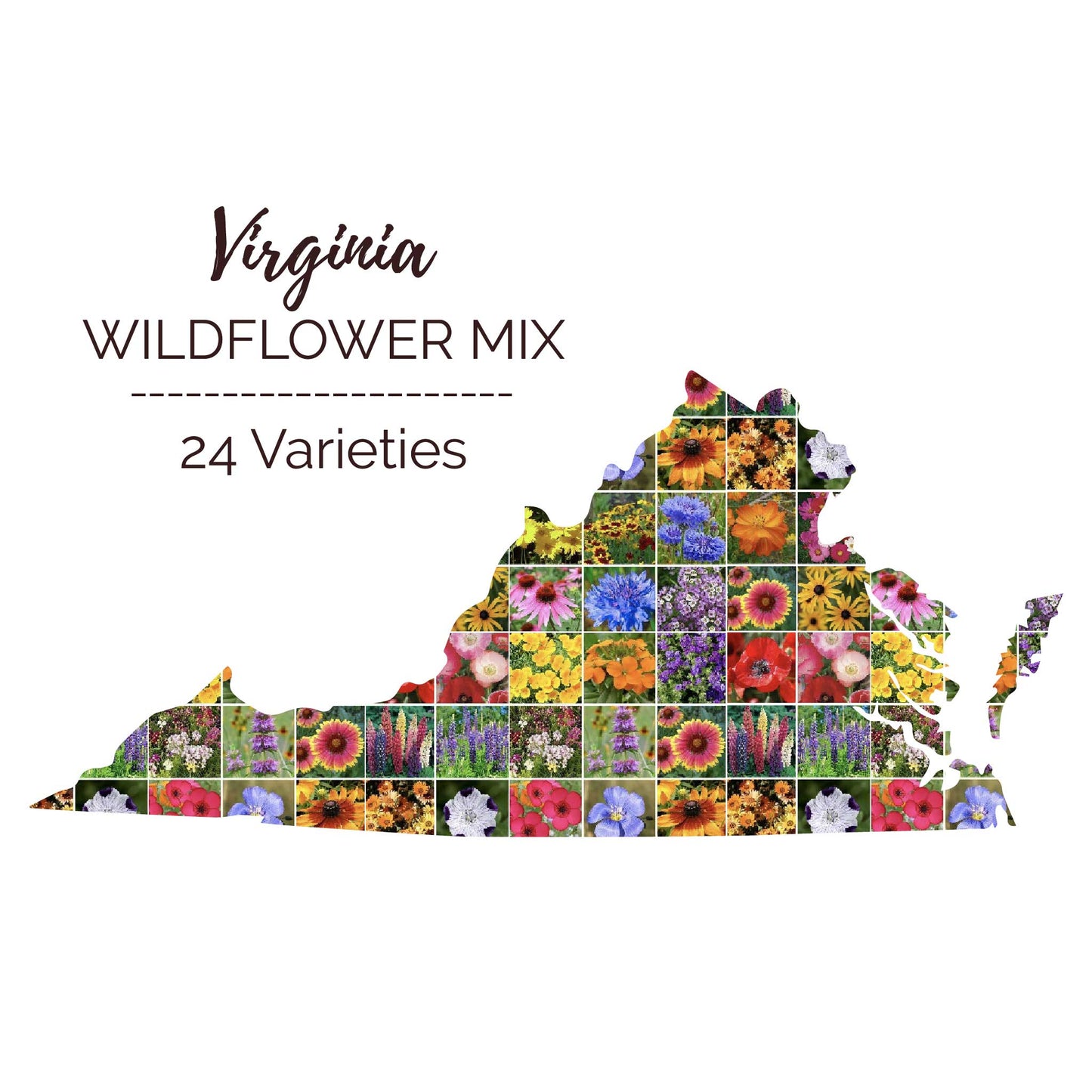 Graphic of the outline of the state for Virginia Wildflower Seed Mix that contains images of the flowers in the mix