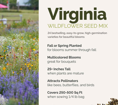 A visual overview of the wildflower seed mix, showcasing expected floral blooms.