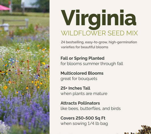A visual overview of the wildflower seed mix, showcasing expected floral blooms.
