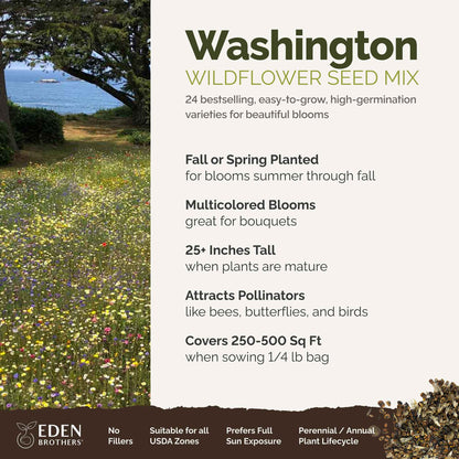 A visual overview of the wildflower seed mix, showcasing expected floral blooms.