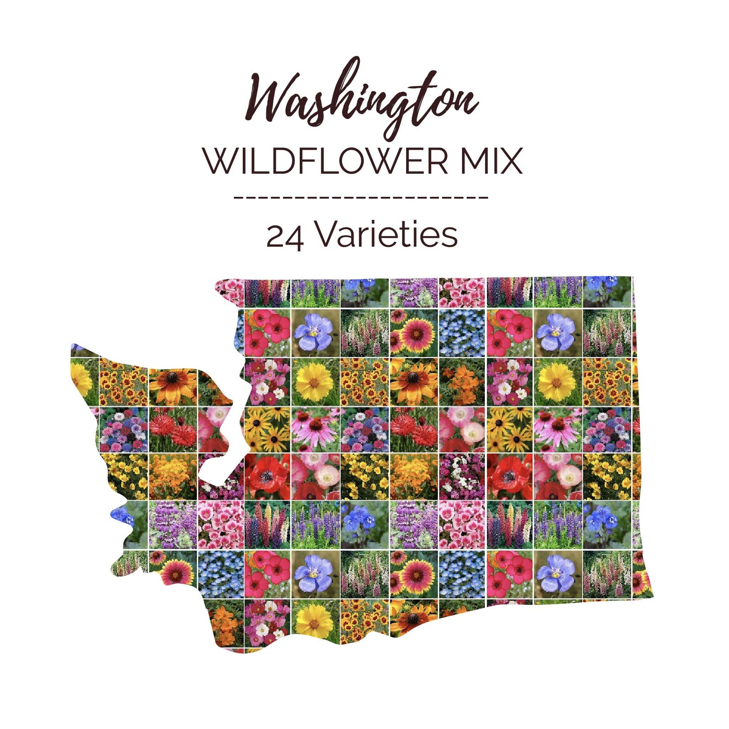 Graphic of the outline of the state for Washington Wildflower Seed Mix that contains images of the flowers in the mix