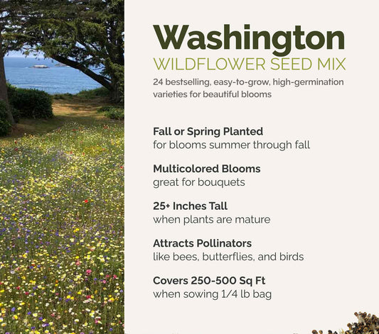 A visual overview of the wildflower seed mix, showcasing expected floral blooms.