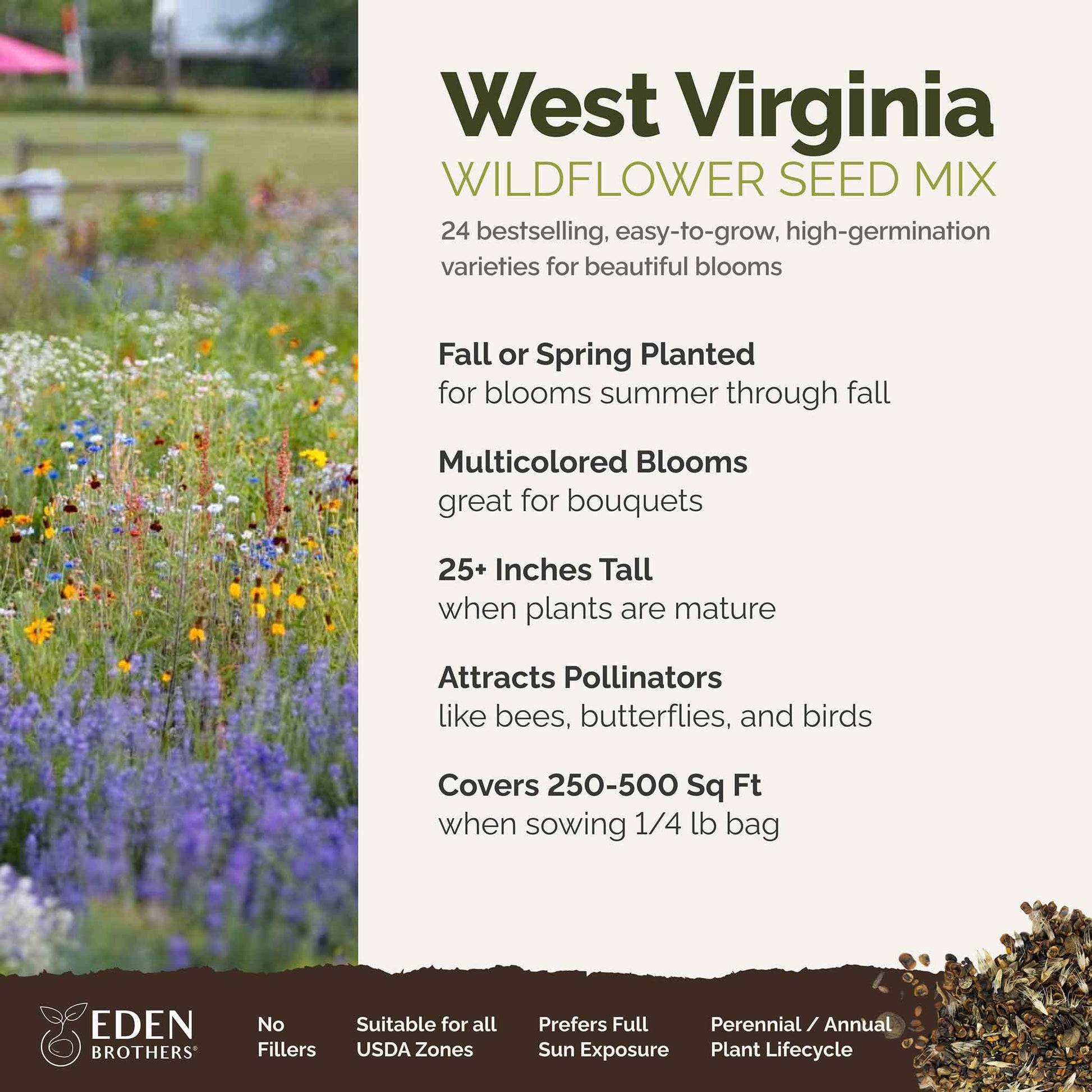 A visual overview of the wildflower seed mix, showcasing expected floral blooms.