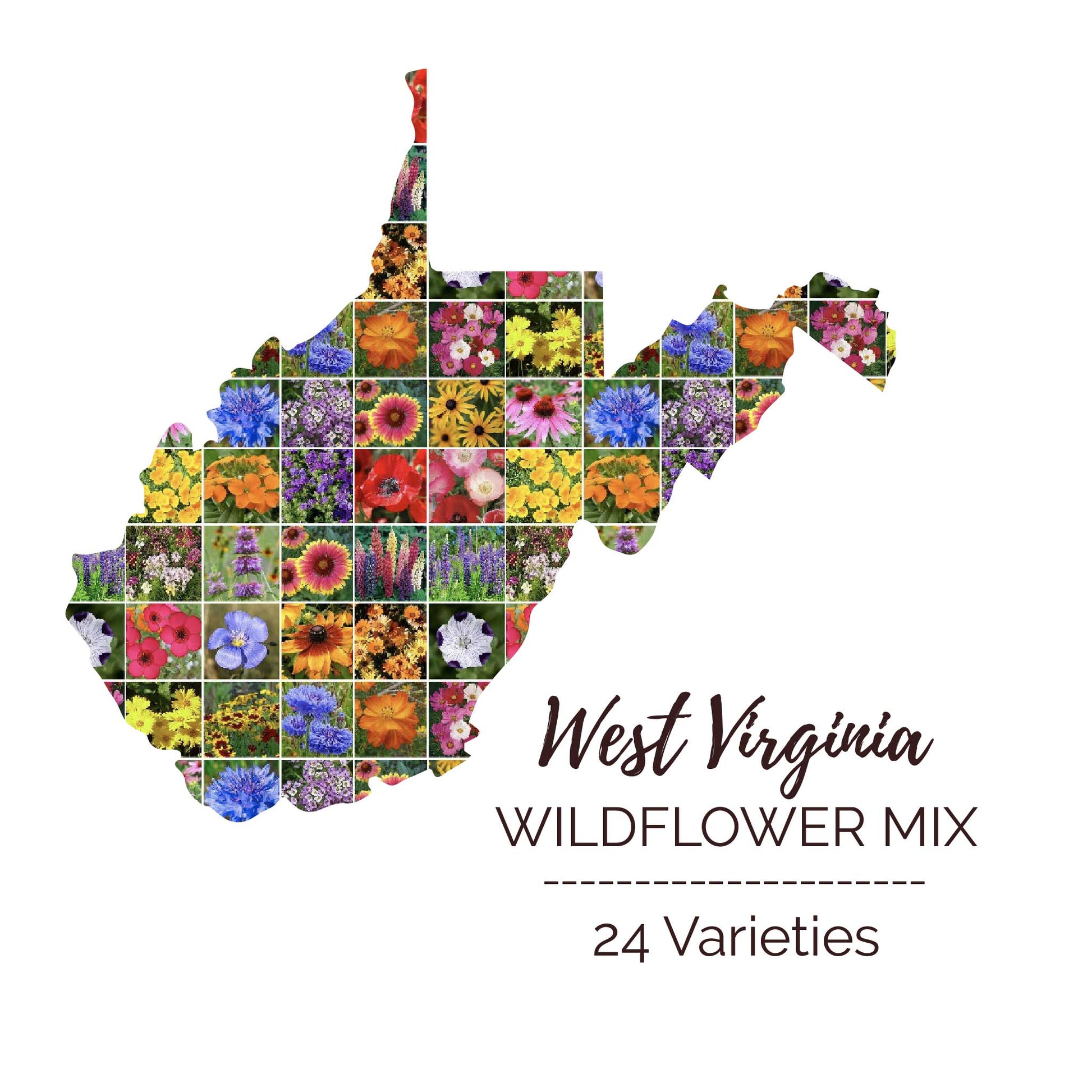 Graphic of the outline of the state for West Virginia Wildflower Seed Mix that contains images of the flowers in the mix